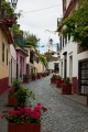 344_Madera_Camara de Lobos